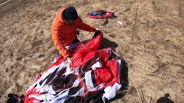 Укладка Филина