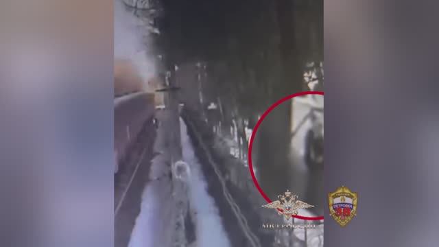 Полицейские задержали школьника за стрельбу из пневматического пистолета в сторону электропоезда