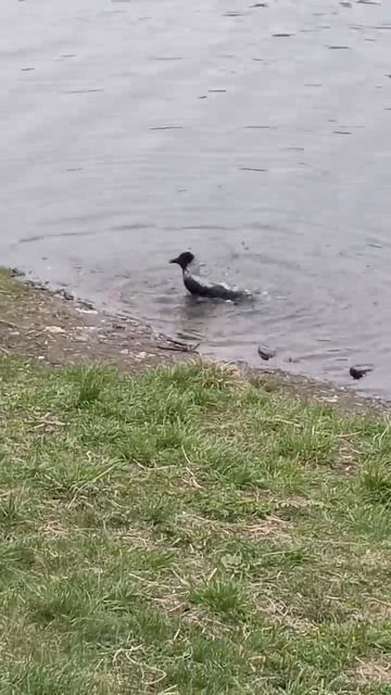 ЧИСТОТА-ЗАЛОГ ЗДОРОВЬЯ