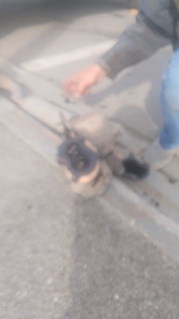 сломалась турбина Опель виваро