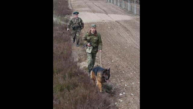 АРМИЯ РОДНАЯ