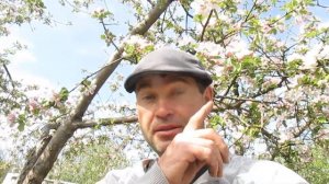 НАДО САЖАТЬ ПО ЭТИМ ПРАВИЛАМ. Просто и с гарантией приживаемости. #ВиталийОрех #Виталий7соток