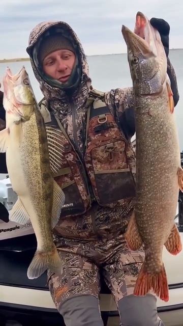 Клип @zatropheem