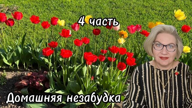 4 часть. Куча не алкаш, но ей НАДО❗️А с@пле надо, чтобы она стала ВАСЕЙ❗️