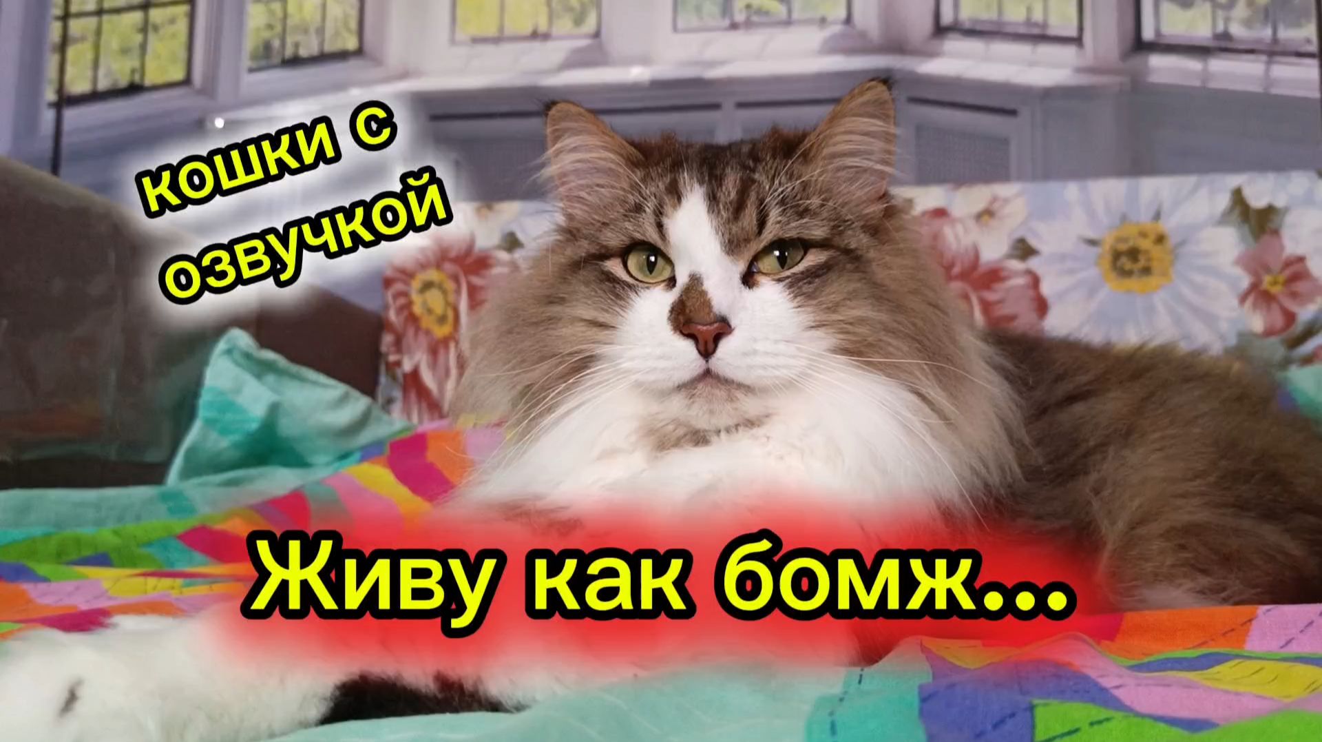 Живу как бомж... Прикольная озвучка.