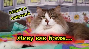 Живу как бомж... Прикольная озвучка.