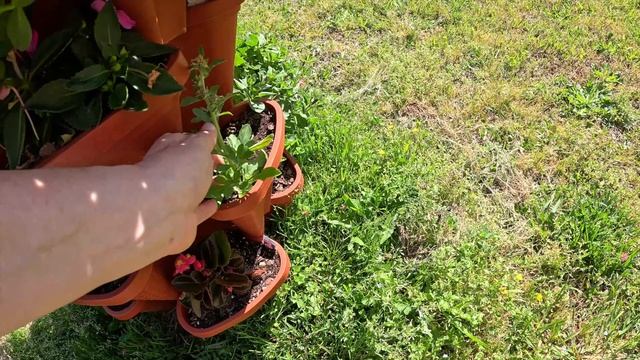 Обо всем понемногу за пару выходных. Посадки не прекращаются. Океан с каждым днем теплее.