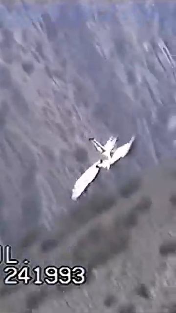 1993 И такое бывает