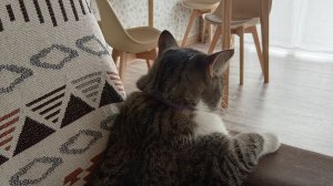 ищем смайлики