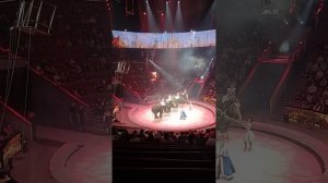 Хоровод из слонов в Большом Московском Цирке на сказке Белоснежка и семь гномов