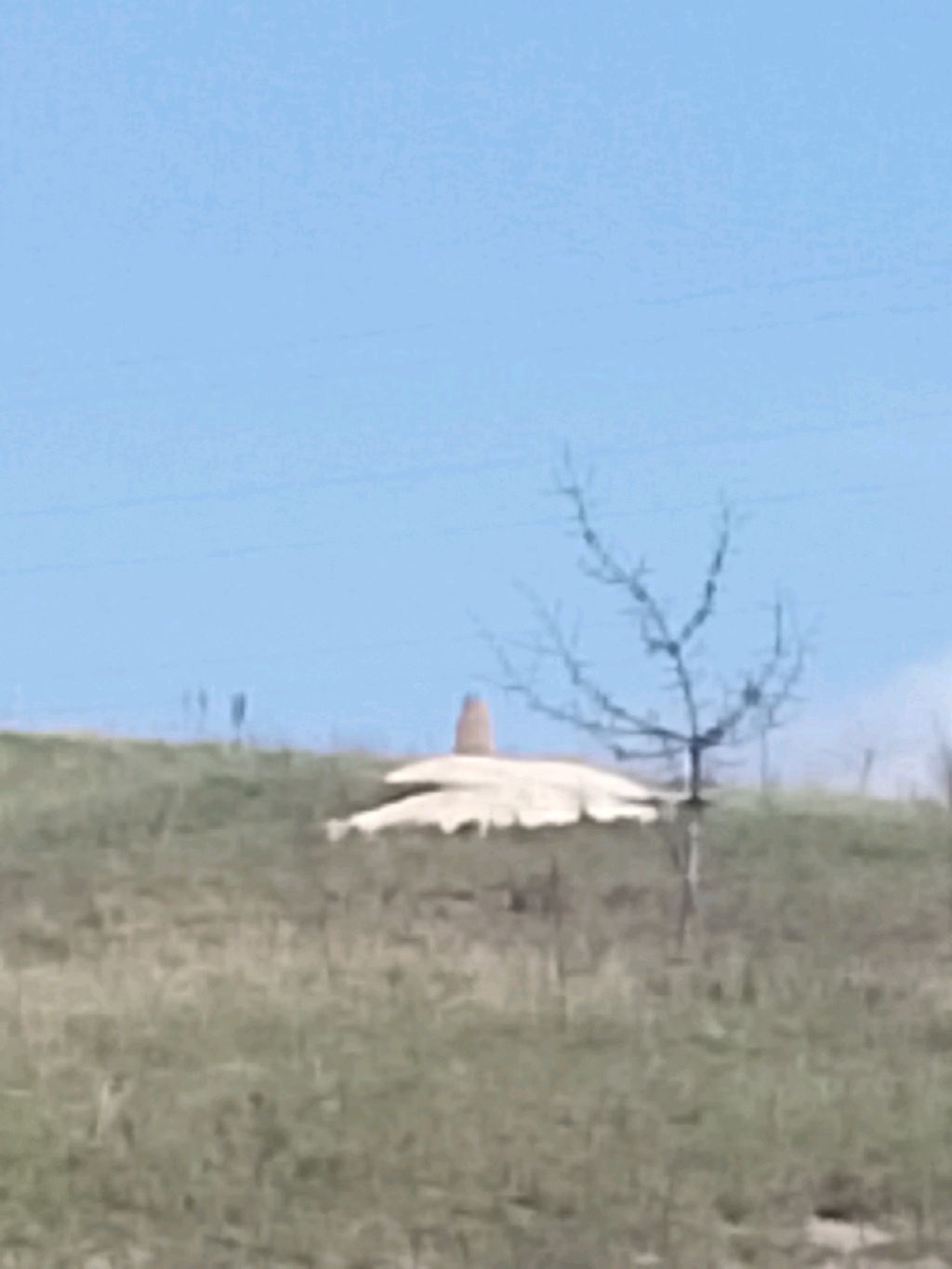 играем в игры