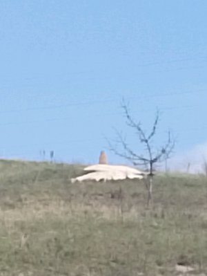 играем в игры