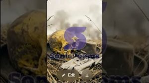 Сергей Есенин — Ты прохладой меня не мучай (вар1)