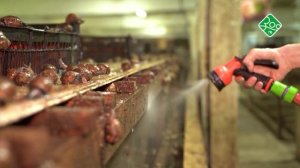 Я - животновод. Анонс. Канал ЗОО ТВ