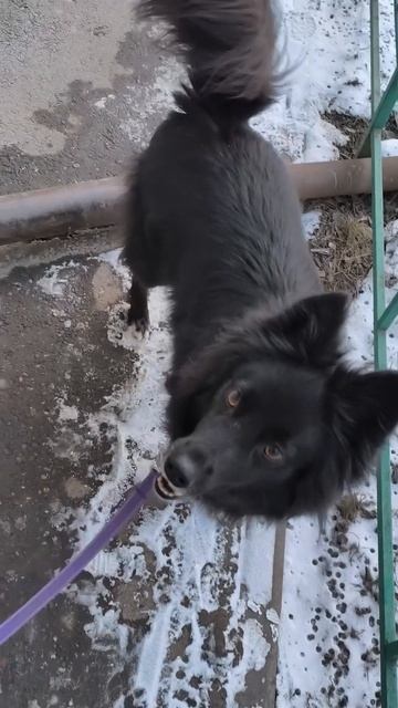 Приехал к подружке