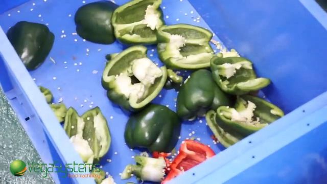 Машина для удаления сердцевины перца Вега/Vega Pepper Core F6