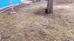 Хроника нескольких апрельских деньков.