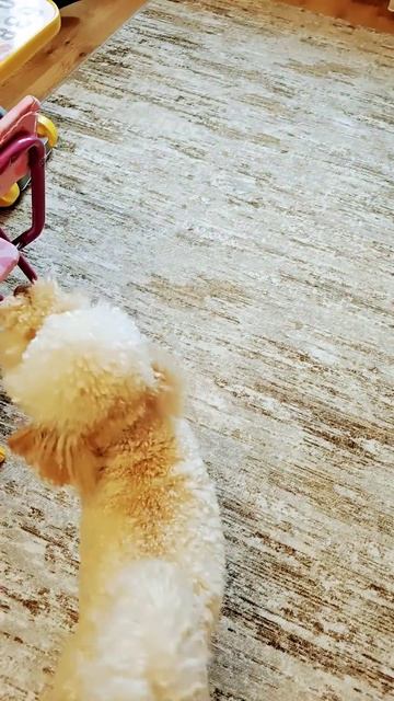 др:шарики ❤