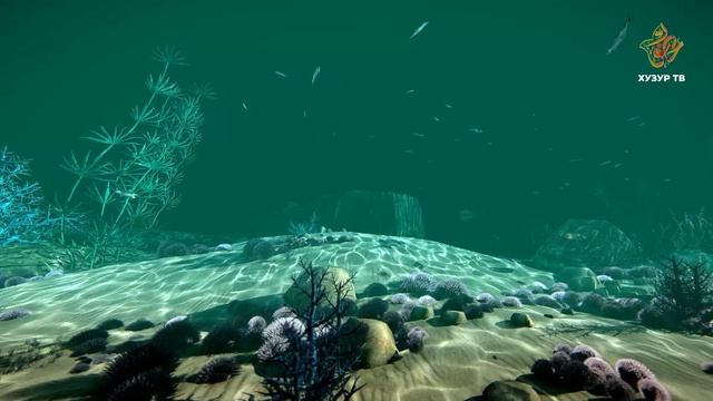 Почему рак сбрасывает панцирь и как часто это происходит? | Чудеса сотворения. Подводный мир