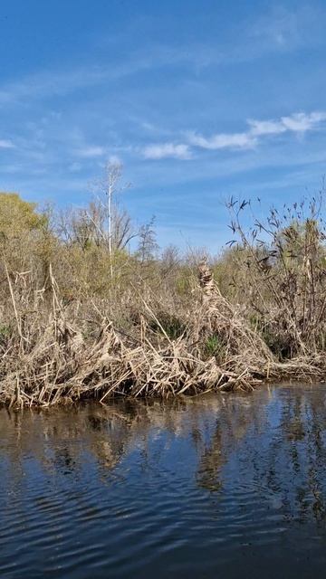 Река Калитва!!! Весенний сплав!!!Сова!!! #сплавнабайдарках #фишмир #природа