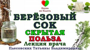 БЕРЕЗОВЫЙ СОК -||- КАК ПРАВИЛЬНО СОБРАТЬ и ЕГО ПОЛЬЗА! -||- СЕКРЕТ БЕРЕЗОВОГО СОКА!