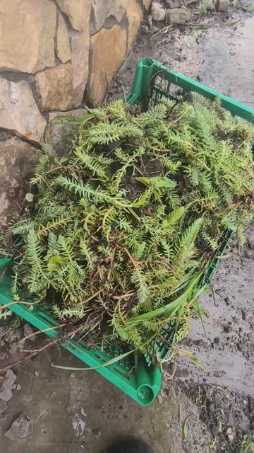 Как ее убирать?