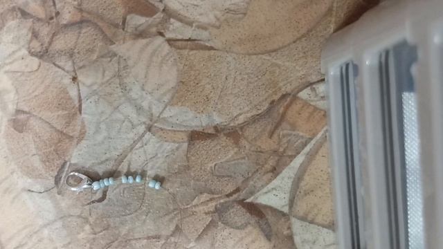 +1 подписчик