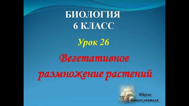 биология 6 класс лекция 26 по теме Вегетативное размножение растений