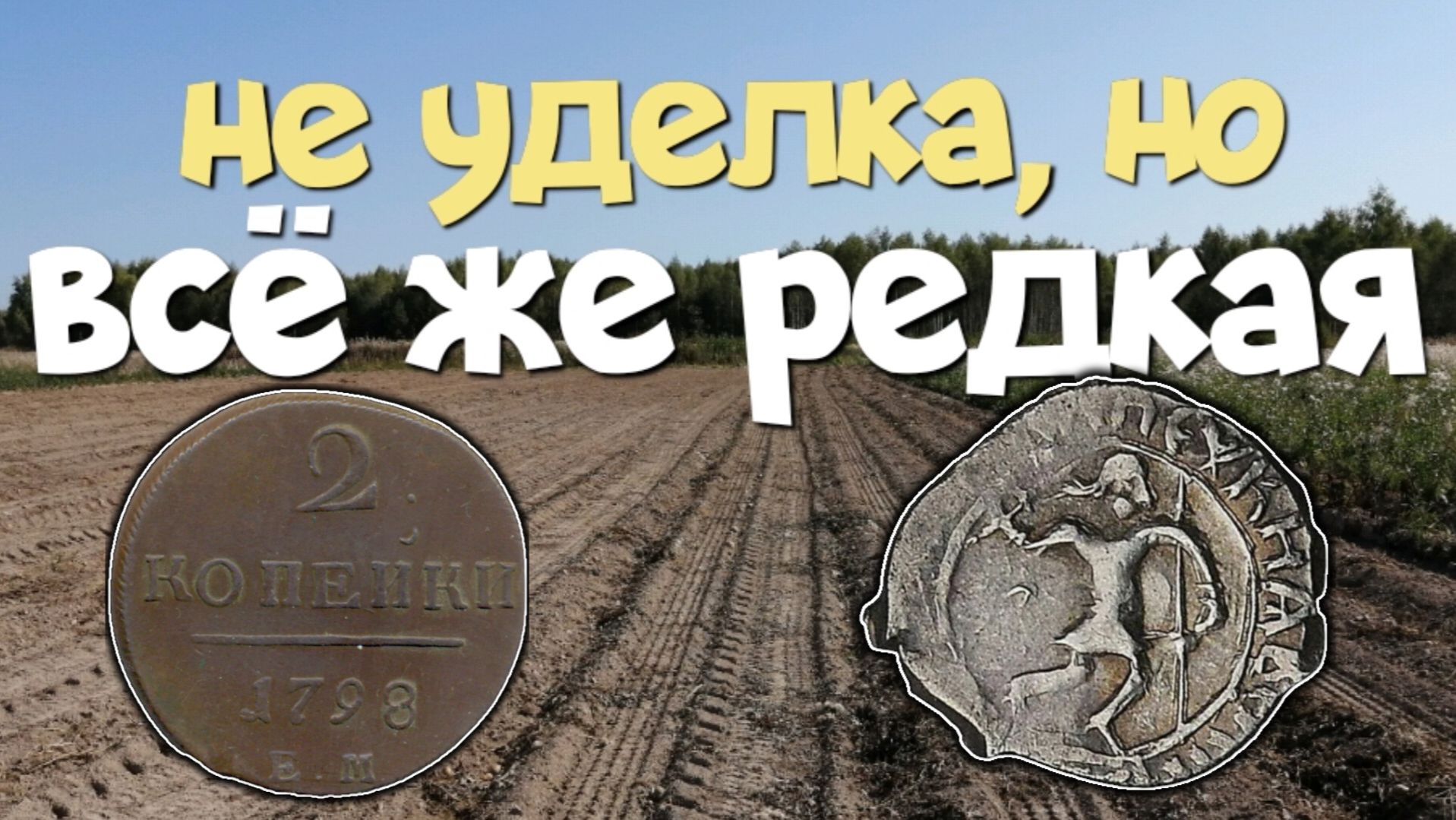 НЕ УДЕЛКА, НО ВСЁ ЖЕ РЕДКАЯ. ПОИСК С ЭКВИНОКС 800.