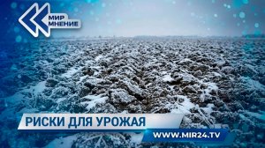 Как резкое похолодание в Центральной России повлияет на будущий урожай?
