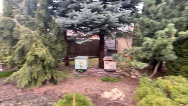 Улей ППУ вписал в ландшафт