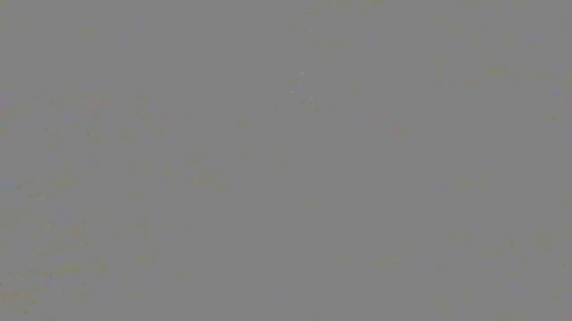 САМВЕЛ АДАМЯН, ОБЗОР ОТ СВЕТЛАНЫ БЕККЕР НА СНЕЖКО ГАДКО, АНЖЕЛКА ПРОБИВАЕТ ОЧЕРЕДНОЕ ДНО..