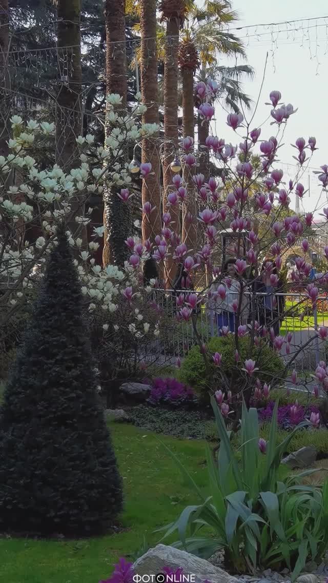 Улица Навагинская, Сочи. Март 2026