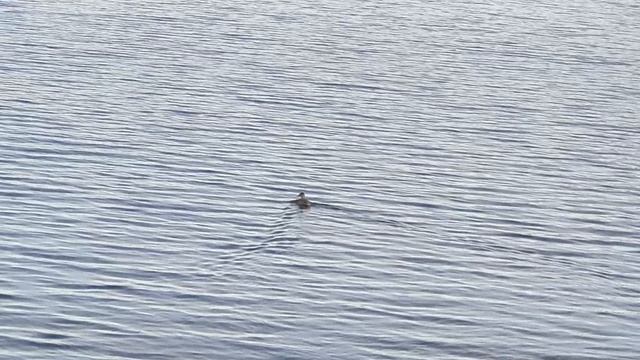 Южный Урал. Башкортостан. Банное озеро. Дом отдыха 