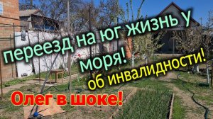 Переезд на юг, жизнь у моря. Олег в шоке! Об инвалидности, докторах! Важная информация!