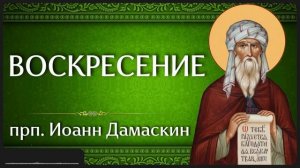 ВОСКРЕСЕНИЕ прп Иоанн Дамаскин