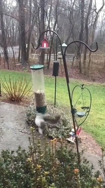 Весёлая Карусель 🤣