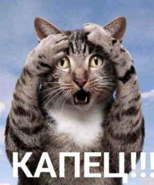 🤔КАК ПОСТРОИТЬ ДОМ🤔