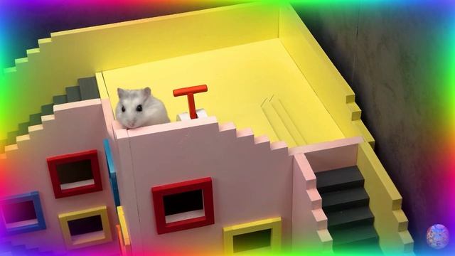 Милый хомячок исследует увлекательный лабиринт шаг за шагом. часть 3