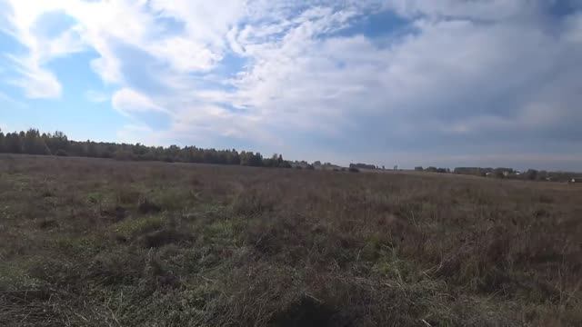 ОХОТА НА ЛОСЯ, ОТКРЫТИЕ СОСТОЯЛОСЬ