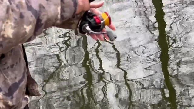 Запуск форели в лесной водоем 20.04