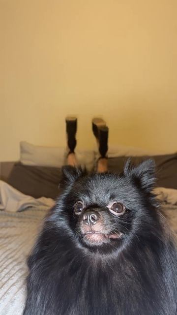 Я хуже чем ты думал...