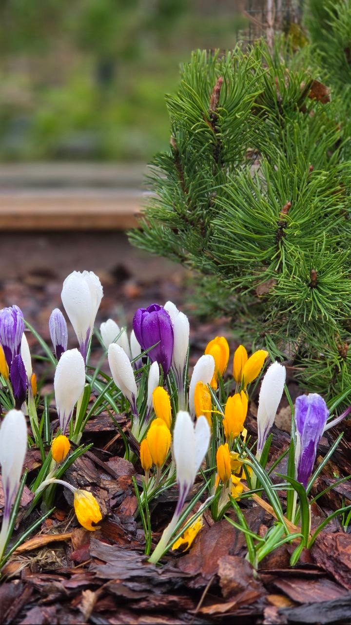 Обзор реализованного проекта 🌿