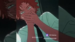 clip224202338_456243691