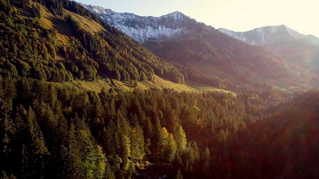 Звуки природы: дыхание гармонии #1