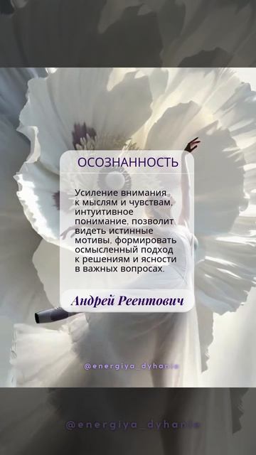 Солнечные рекомендации. Выбор. Осознанность. | Андрей Реентович #shorts