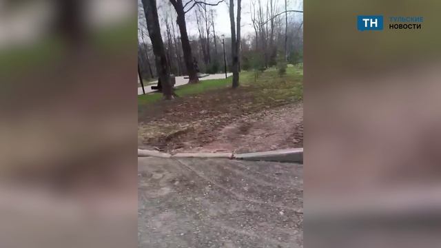 Туляки сообщают о неудобствах в Рогожинском парке