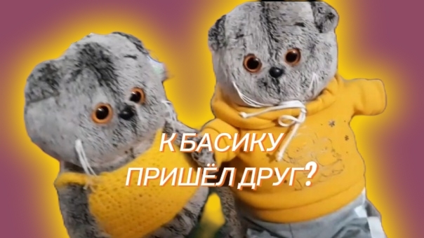 К Басику пришёл друг!🤗