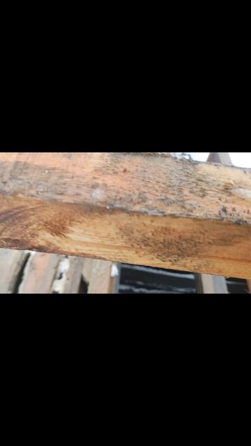 Уличный туалет два в одном