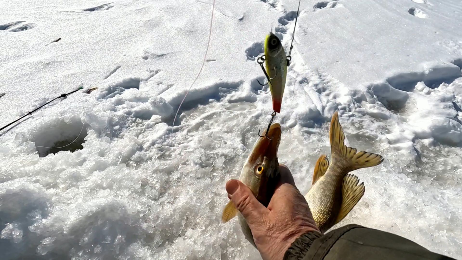 20 апреля 2026 г.У рыбозавода.